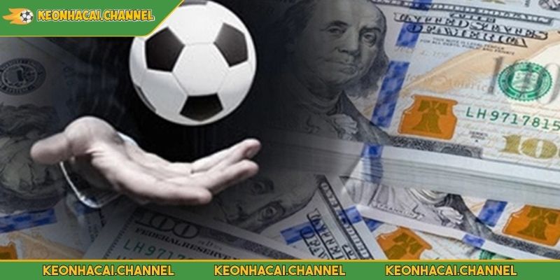 Forum Cá Độ Bóng Đá Điểm Đến Giao Lưu Hấp Dẫn Tại KEONHACAI 3 Tham gia thảo luận trong Forum