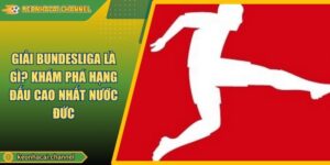 Giải Bundesliga Là Gì? Khám Phá Hạng Đấu Cao Nhất Nước Đức