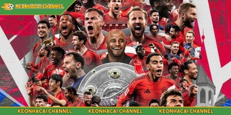 Giải Bundesliga Là Gì? Khám Phá Hạng Đấu Cao Nhất Nước Đức 4 Bayern Munich là đội bóng xuất sắc nhất Bundesliga
