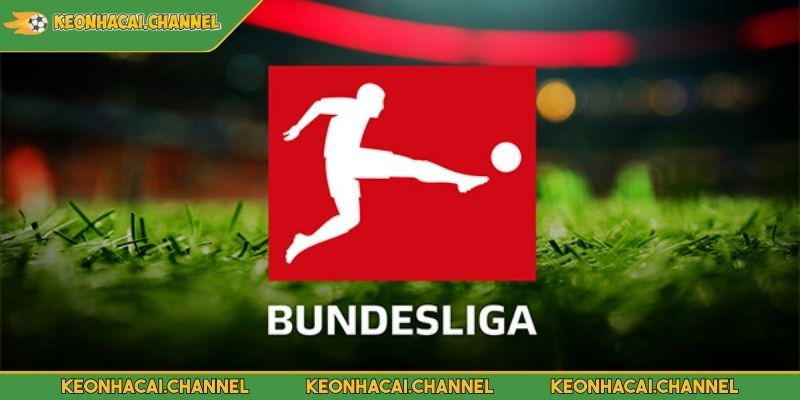 Giải Bundesliga Là Gì? Khám Phá Hạng Đấu Cao Nhất Nước Đức 2 Hiểu rõ khái quát về giải Bundesliga là gì?
