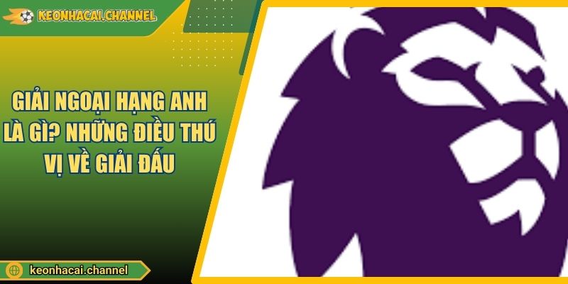 Giải Ngoại Hạng Anh Là Gì? Những Điều Thú Vị Về Giải Đấu
