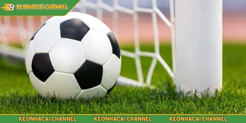 Kèo 2.5-3 Là Gì? Chỉ Dẫn Cách Thức Soi Kèo Chuẩn Cho Tân Thủ 3 Chơi kèo tài 2.5-3 trái hấp dẫn