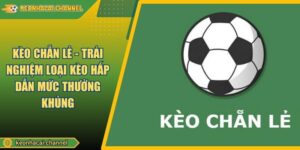 Kèo Chẵn Lẻ - Trải Nghiệm Loại Kèo Hấp Dẫn Mức Thưởng KhủngKèo Chẵn Lẻ - Trải Nghiệm Loại Kèo Hấp Dẫn Mức Thưởng Khủng