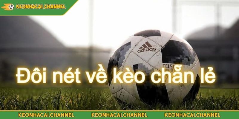 Xem xét các tình huống