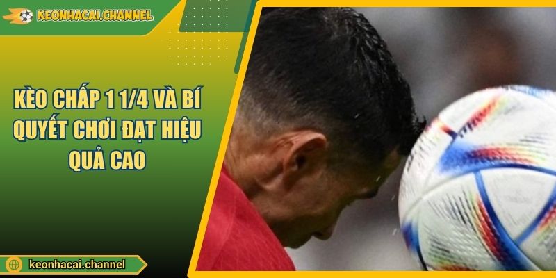 Kèo Chấp 1 1/4 Và Bí Quyết Chơi Đạt Hiệu Quả Cao