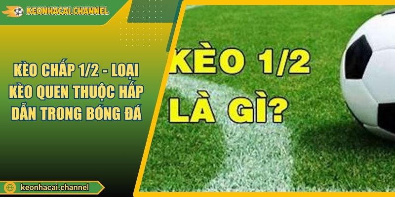 Kèo Chấp 1/2 - Loại Kèo Quen Thuộc Hấp Dẫn Trong Bóng Đá