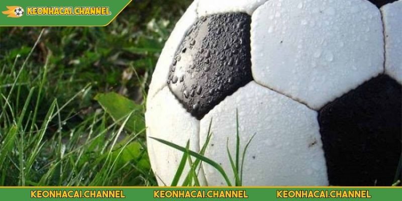 Kèo Lựa Cách Bắt Kèo Hiệu Quả Chuẩn Xác Cho Người Mới 4 Lưu ý khi chơi kèo lựa