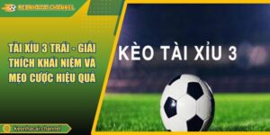 Tài Xỉu 3 Trái - Giải Thích Khái Niệm Và Mẹo Cược Hiệu Quả