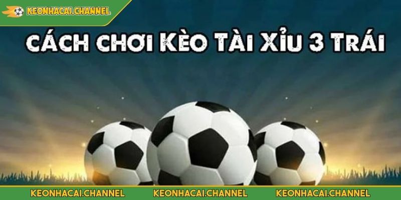 Tài Xỉu 3 Trái - Giải Thích Khái Niệm Và Mẹo Cược Hiệu Quả 4 Đọc tỷ lệ cược và quyết định kèo