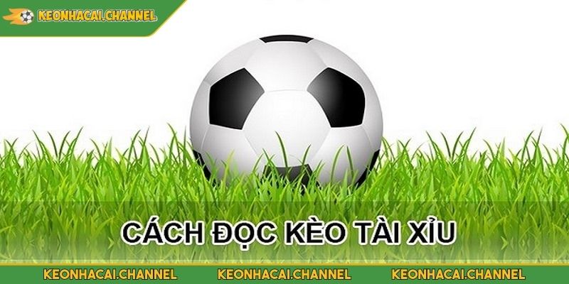 Tài Xỉu 3 Trái - Giải Thích Khái Niệm Và Mẹo Cược Hiệu Quả 3 Phân tích kỹ hai đội bóng