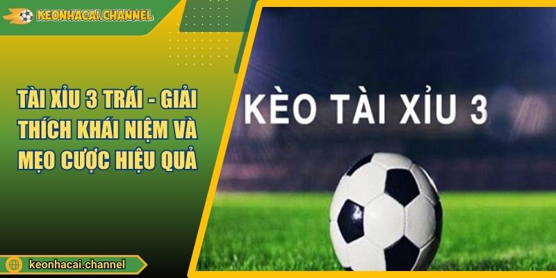 Tài Xỉu 3 Trái - Giải Thích Khái Niệm Và Mẹo Cược Hiệu Quả