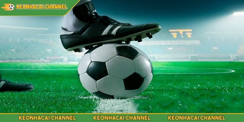 Tỷ Lệ Cược Hồng Kông – Hướng Dẫn Chi Tiết Cho Người Mới 4 Kinh nghiệm cá cược hiệu quả