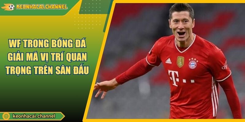 WF Trong Bóng Đá Giải Mã Vị Trí Quan Trọng Trên Sân Đấu